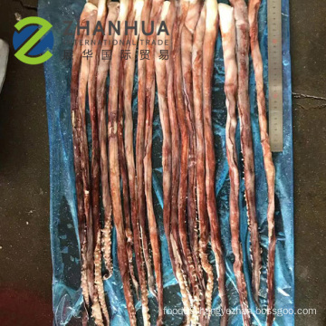Frozen India Ocean Squid Tentacle Long Leg on Offer